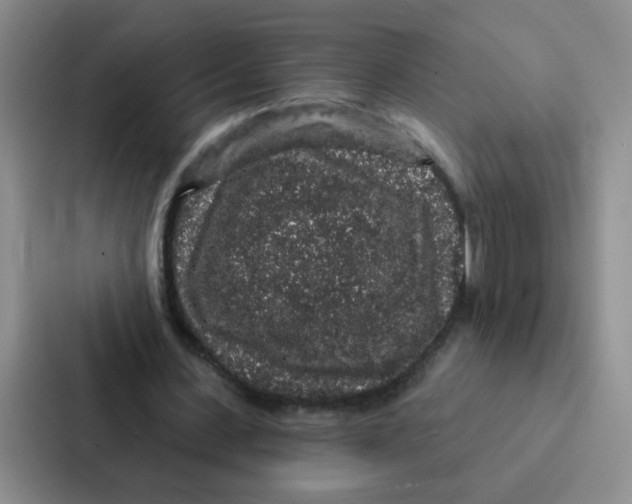 X0000086950531200705141824