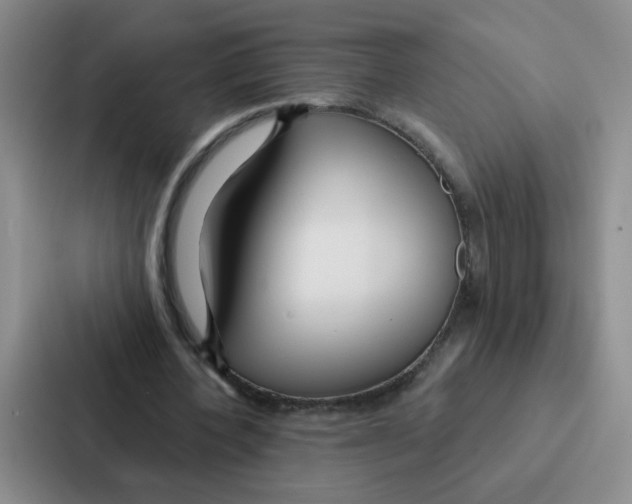 X0000086950532200705141824