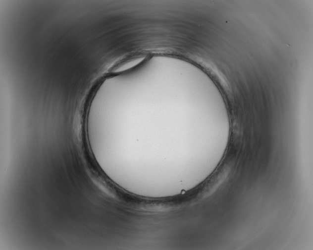 X0000086950533200705141824