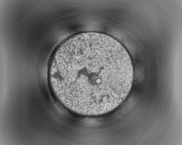 X0000086950534200705141824