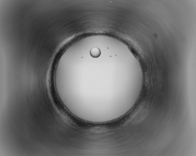 X0000086950536200705141824