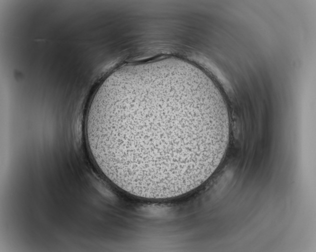 X0000086950537200705141824