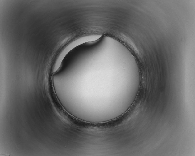 X0000086950538200705141824