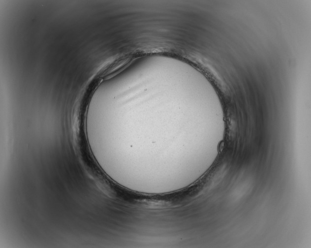 X0000086950539200705141824