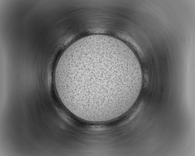 X0000086950541200705141824