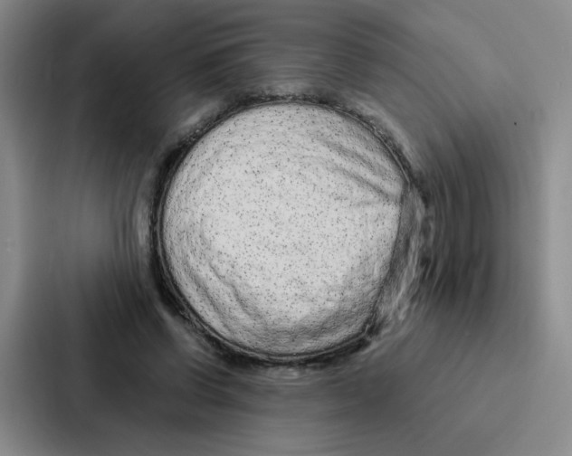 X0000086950542200705141824