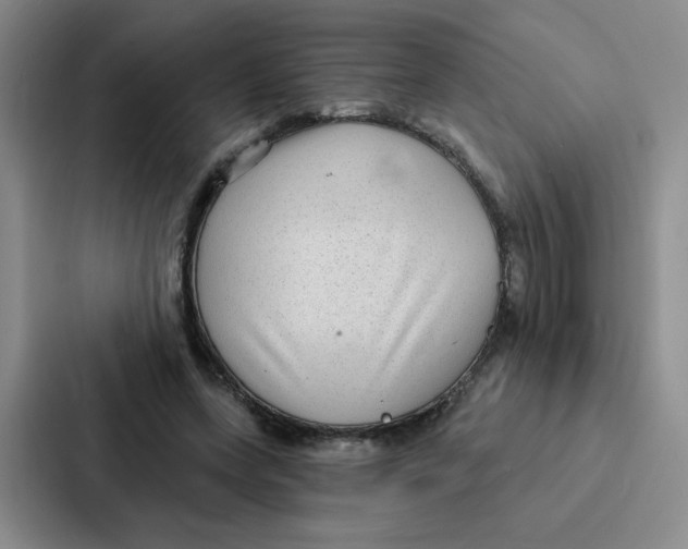 X0000086950543200705141824