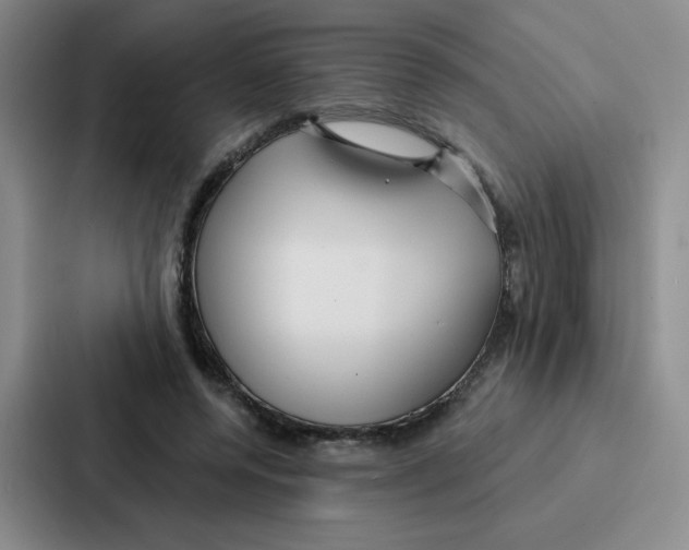 X0000086950544200705141824