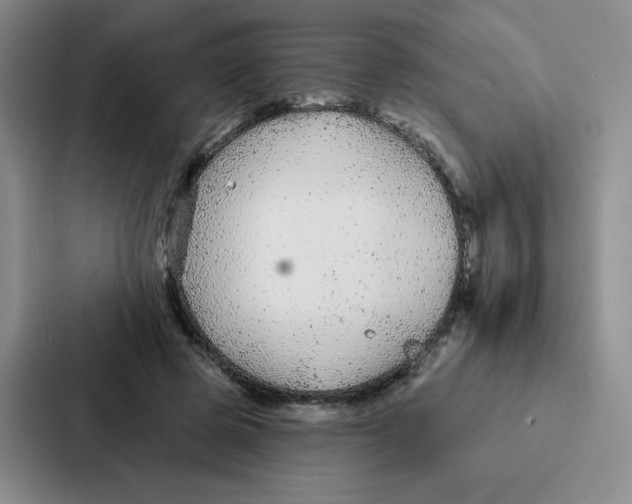 X0000086950545200705141824