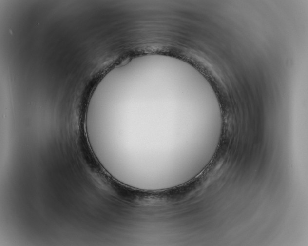 X0000086950546200705141824