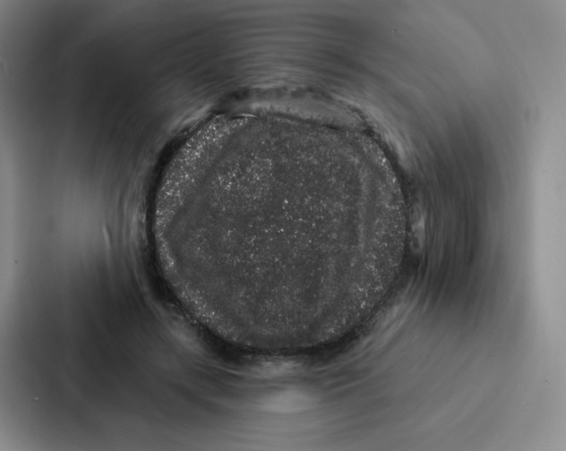 X0000086950547200705141824