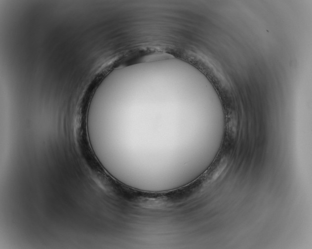 X0000086950548200705141824