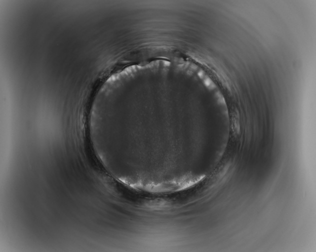 X0000086950551200705141824