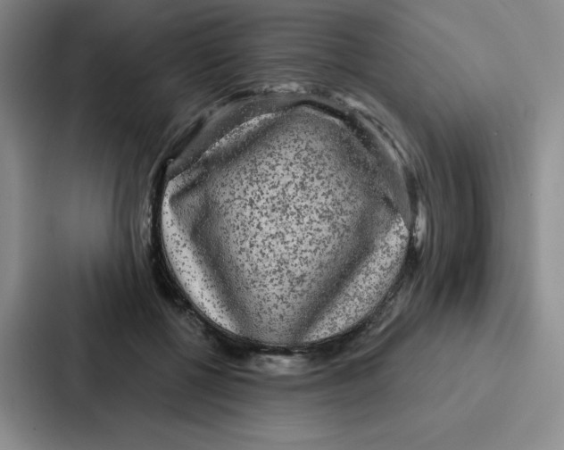 X0000086950552200705141824