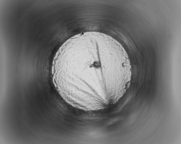 X0000086950553200705141824