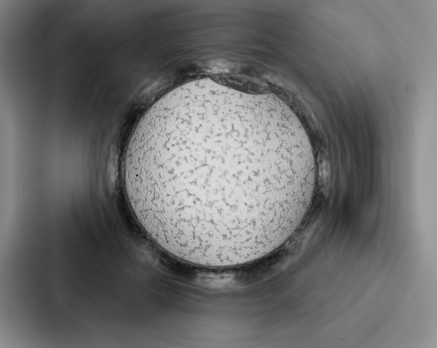 X0000086950554200705141824