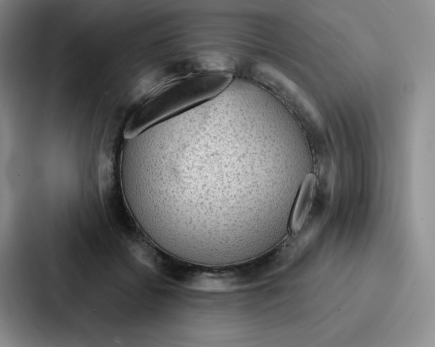 X0000086950556200705141824