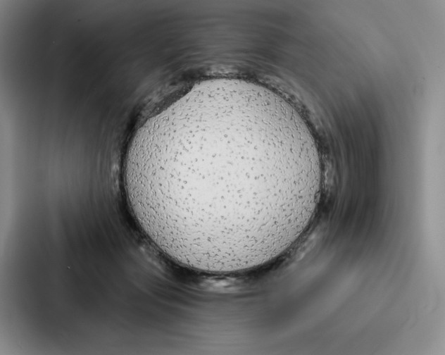 X0000086950557200705141824