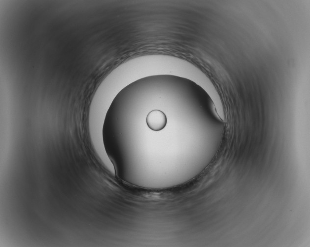 X0000086950558200705141824