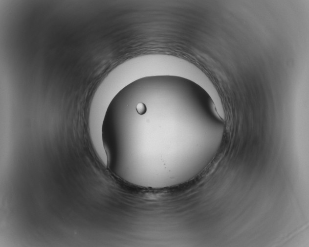 X0000086950560200705141824