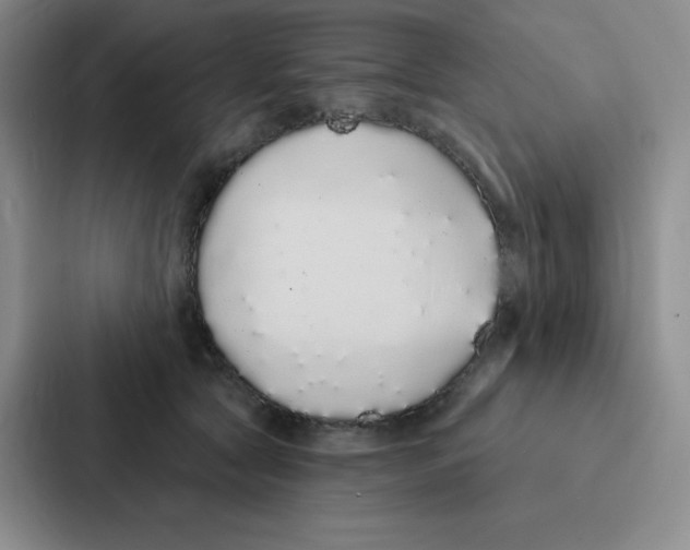 X0000086950561200705141824