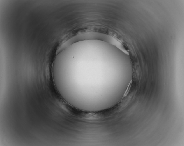 X0000086950562200705141824