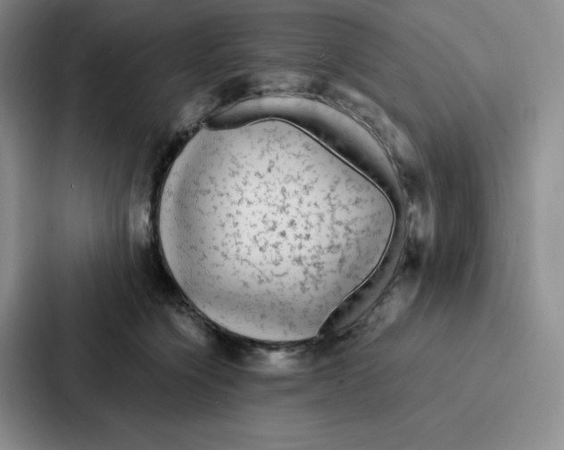 X0000086950564200705141824