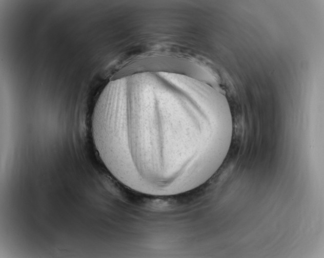 X0000086950566200705141824