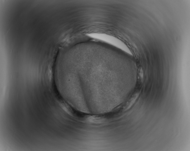 X0000086950568200705141824