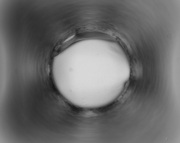 X0000086950569200705141824