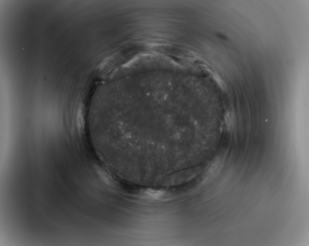 X0000086950570200705141824