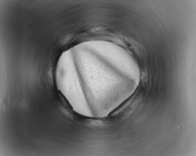 X0000086950572200705141824