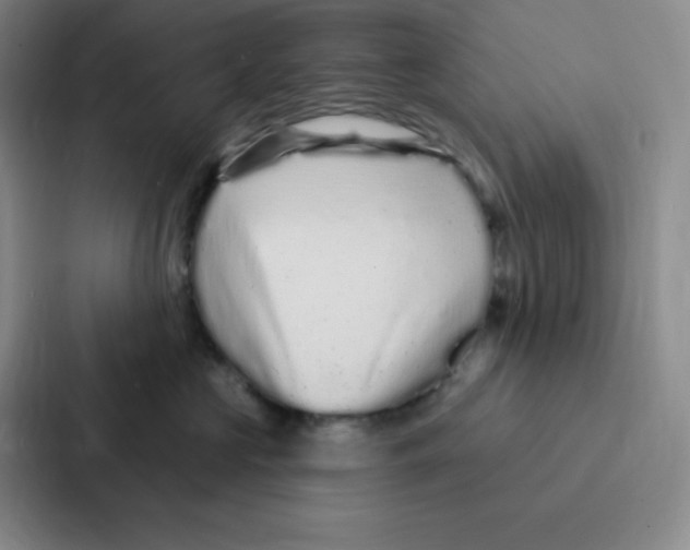 X0000086950573200705141824