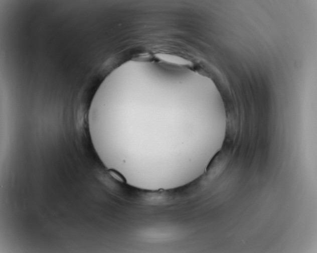 X0000086950574200705141824