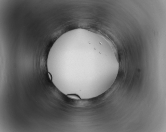 X0000086950575200705141824