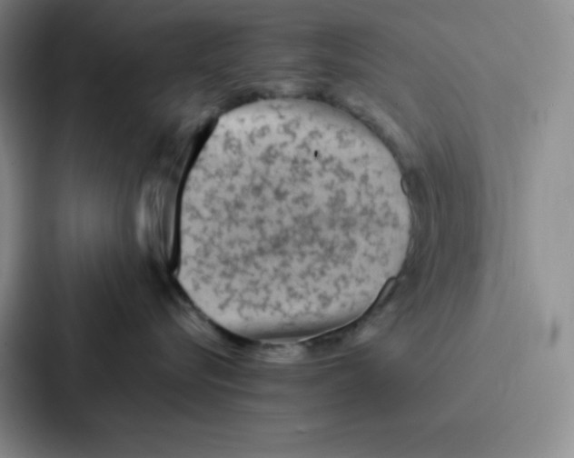 X0000086950576200705141824