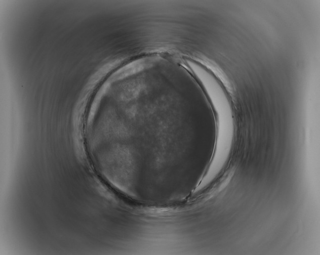 X0000086950577200705141824