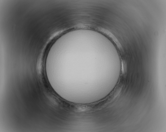 X0000086950579200705141824