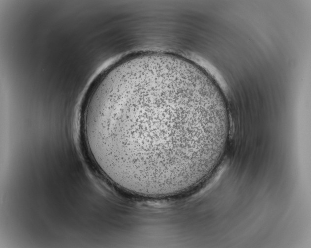 X0000086950580200705141824