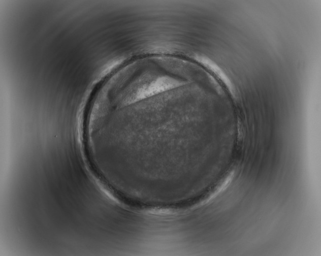 X0000086950581200705141824