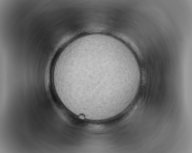 X0000086950582200705141824