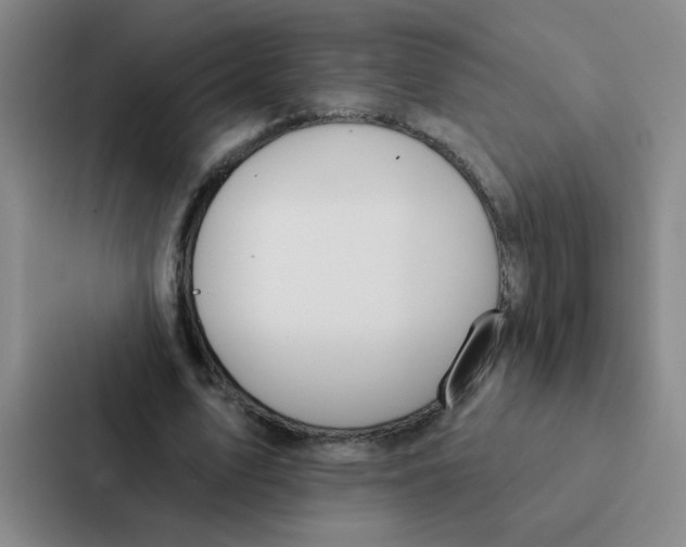 X0000086950583200705141824