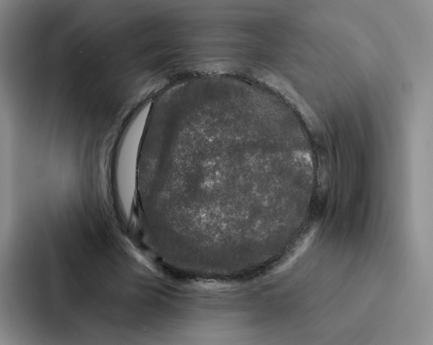 X0000086950585200705141824