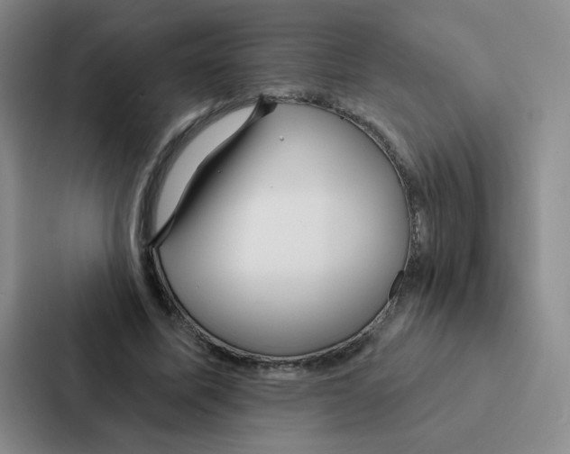 X0000086950587200705141824