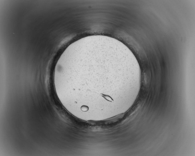 X0000086950588200705141824