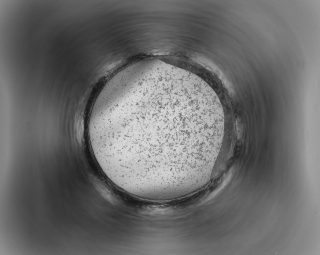 X0000086950589200705141824