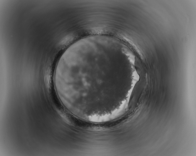 X0000086950590200705141824