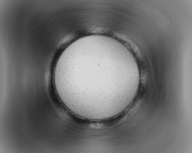 X0000086950591200705141824