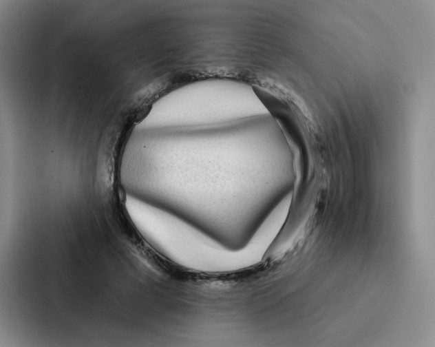 X0000086950593200705141824