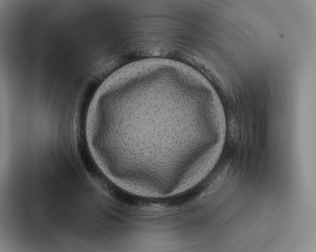 X0000086950594200705141824